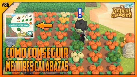 Gandulio vendiendo brotes de calabaza en Animal Crossing New Horizons