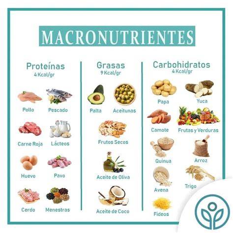 Macronutrientes en el chocolate