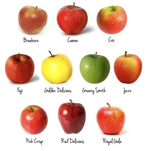 Variedad de manzanas de diferentes colores