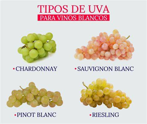 Variedades de uvas blancas para vino