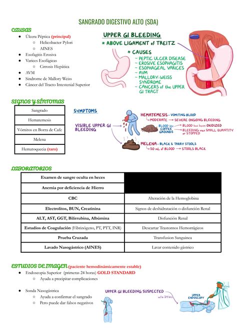 esquema del tracto digestivo y causas de sangrado