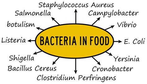 Ilustración de bacterias en alimentos