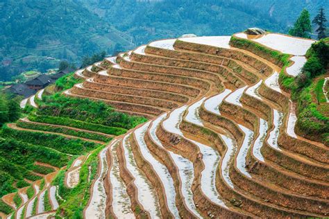 Terrazas de arroz en Guilin, China