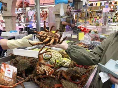 Centollos frescos en un mercado