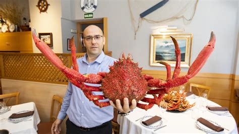 Centollo gallego emplatado