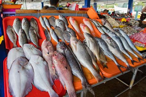 Pescado fresco en un mercado peruano