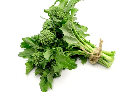 Brócoli Rapini