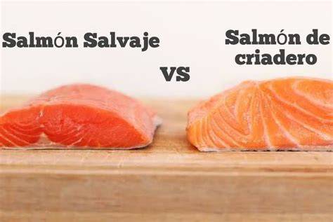 Diferencias entre salmón crudo y cocido