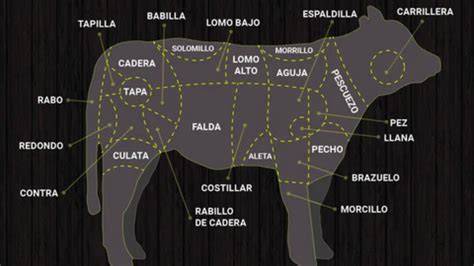 Esquema de las partes de la ternera, señalando la ubicación de la aleta