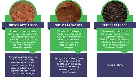Tipos de suelo adecuados para el cultivo de berenjenas