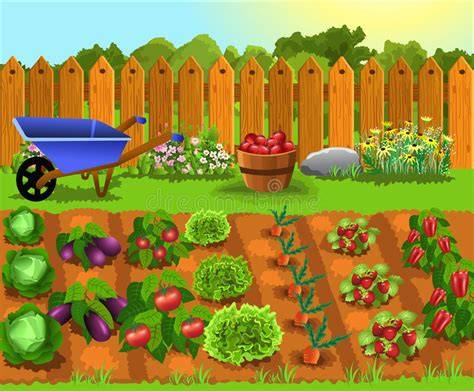 Ilustración de un huerto con diferentes distancias de plantación