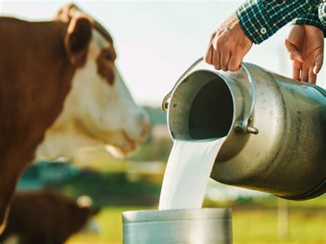 Leche fresca y vinagre
