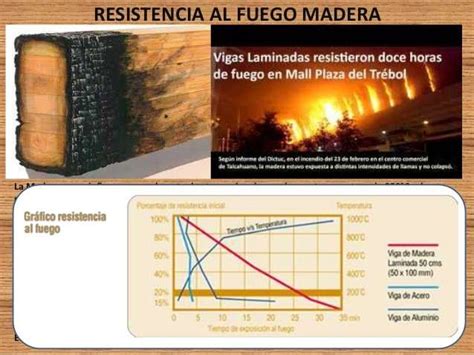 Esquema de un paisaje en mosaico resistente al fuego