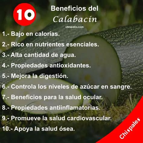 Infografía sobre los beneficios del calabacín.