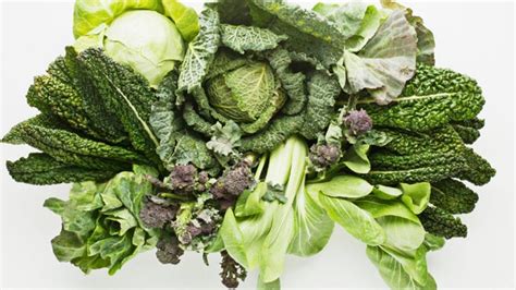 Variedad de verduras de hoja verde
