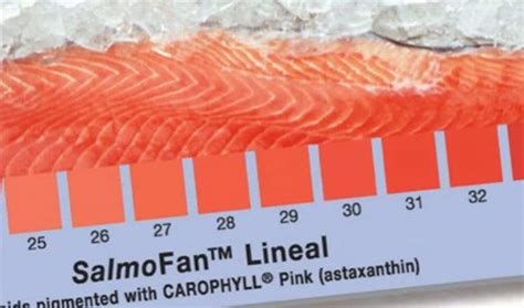 Fotografía del estándar SalmoFan con diferentes tonos de salmón.