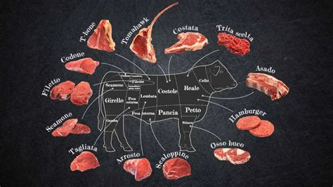 Carnicería con variedad de cortes de carne