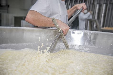 Leche cuajándose para hacer queso