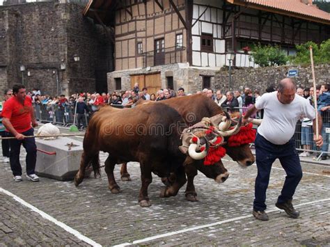 Imagen de deportes rurales vascos