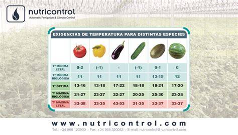 Gráfico de temperaturas óptimas para el cultivo de judías
