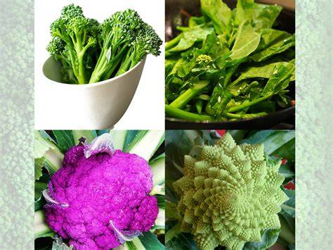 Tipos de brócoli y coliflor