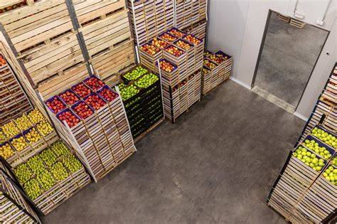 Almacenamiento correcto de vegetales