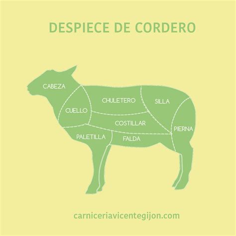Ilustración de las diferentes partes del cordero