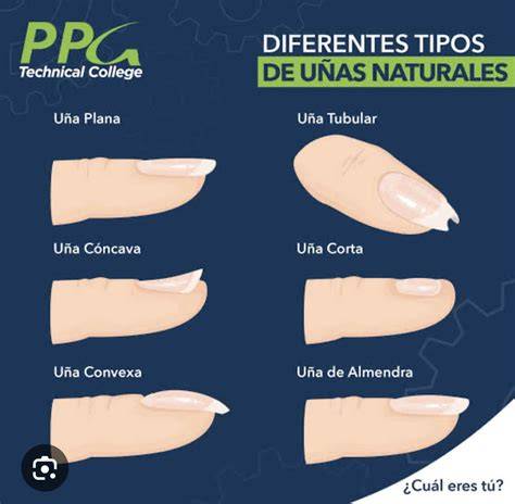 Crecimiento de la uña natural bajo el acrílico