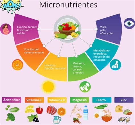 Infografía sobre ingesta diaria de nutrientes