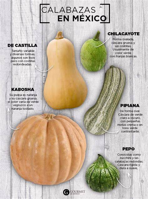 Tipos de calabaza comunes en España