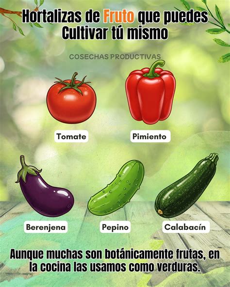 Diagrama que clasifica el tomate, pimiento, berenjena, pepino y aguacate como frutas