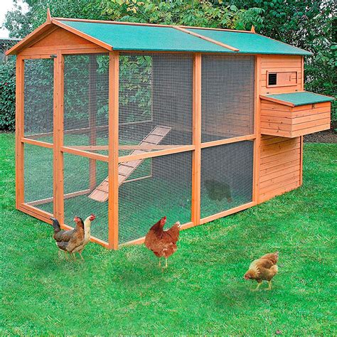 Gallinero limpio y espacioso para gallinas