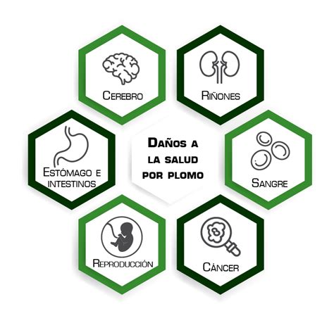 Diagrama de los efectos del plomo en diferentes etapas de la vida
