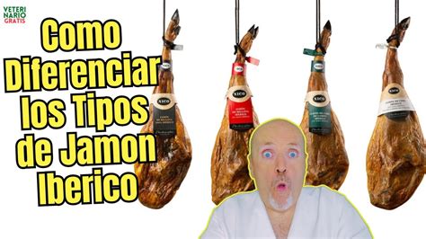 Tipos de jamón ibérico y sus características