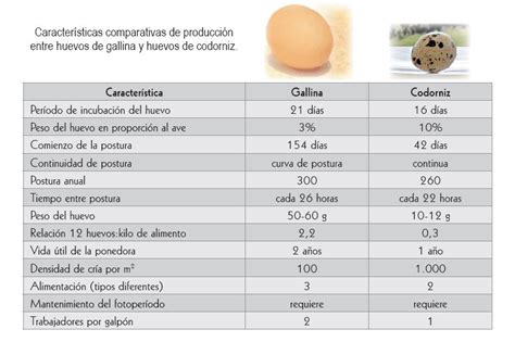 Diagrama nutricional comparativo de huevos de codorniz y gallina