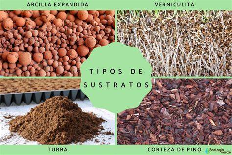 Infografía: Proporciones de sustrato ideal para tomates