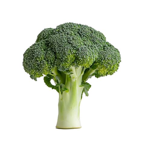 Brócoli fresco y sus floretes