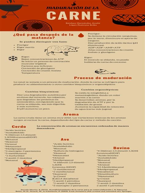 Infografía sobre el proceso de maduración de la carne
