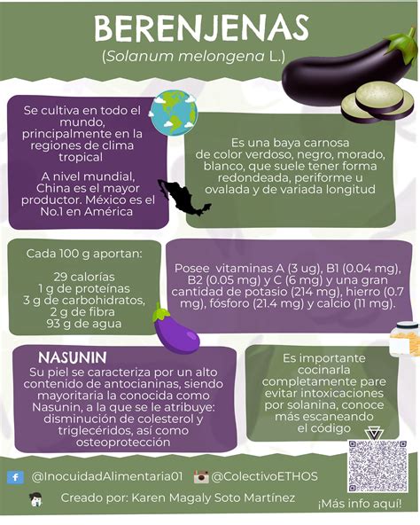 Infografía sobre cómo conservar berenjenas