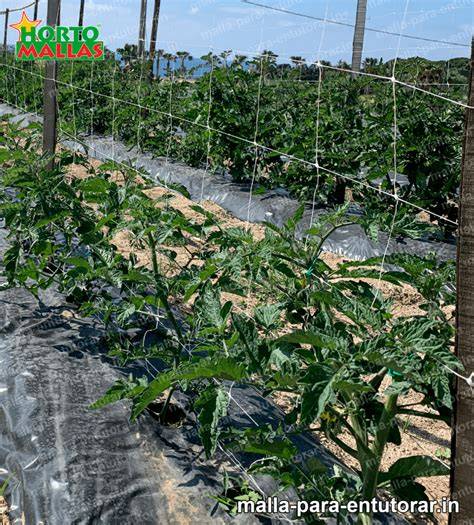 Beneficios del uso de mallas para entutorar en cultivos