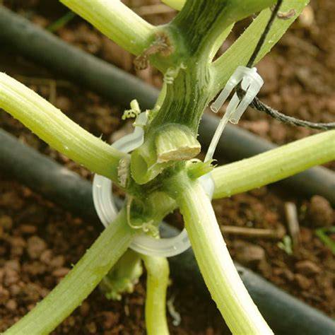 Sistema de doble malla para soporte de plantas