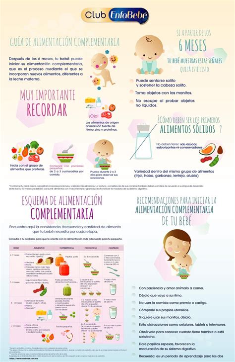 Esquema de las etapas de alimentación en bebés