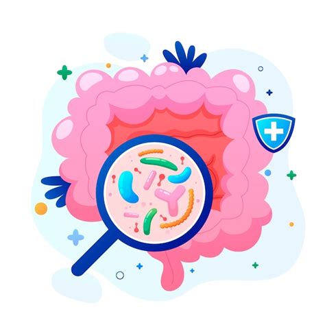 Ilustración de probióticos actuando en el intestino