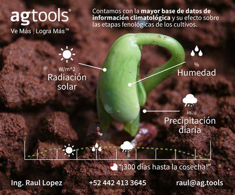 Tabla de factores climáticos para el cultivo de patatas