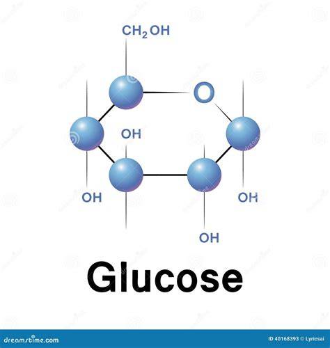 Moléculas de glucosa y estructuras proteicas del gluten