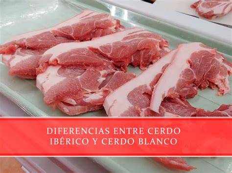 Diferencias entre cerdo ibérico y cerdo blanco