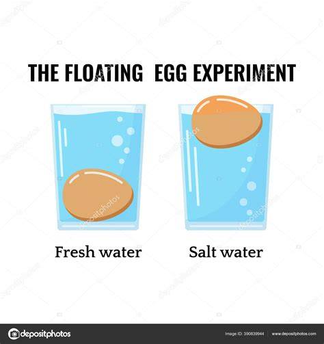Una ilustración de un huevo flotando en agua, representando diferentes niveles de energía.