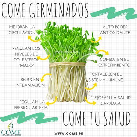 Beneficios de los germinados