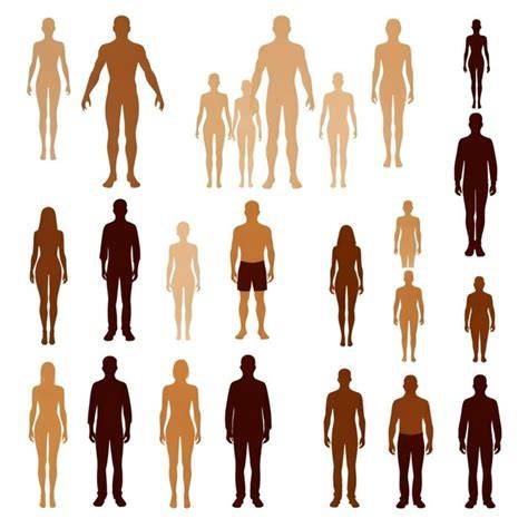 Variedad de boniatos de diferentes formas y tamaños
