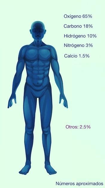 Composición química del cuerpo humano